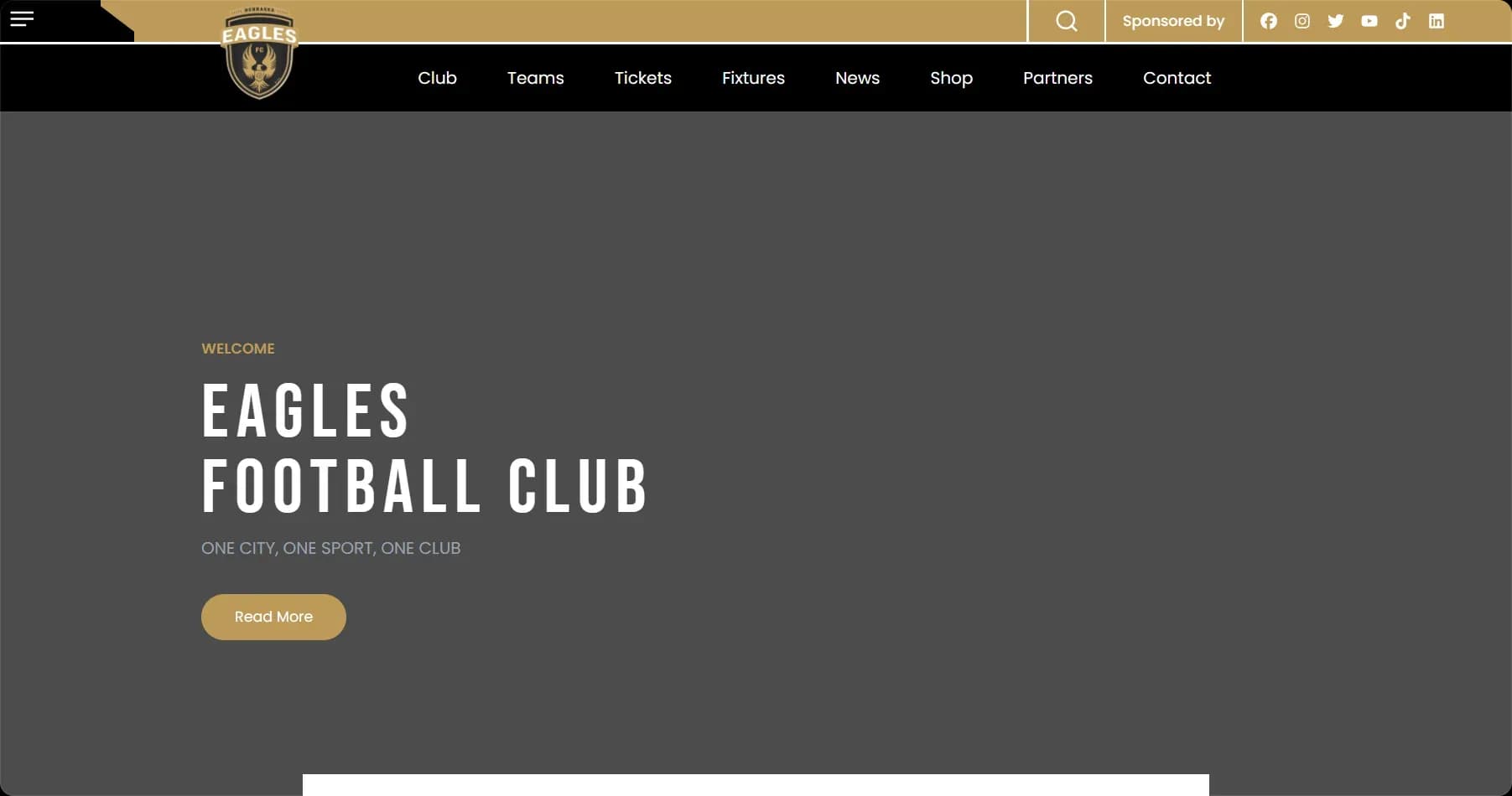 Bold club identity: ONE CITY, ONE SPORT, ONE CLUB with live match fixtures